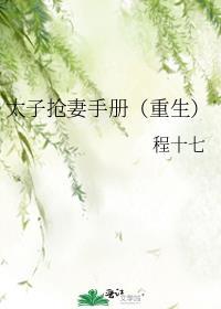 太子抢亲之后