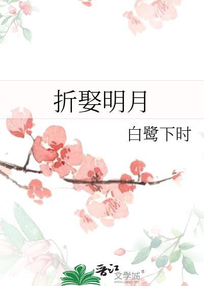 折娶明月简介