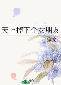 天上掉下个女朋友歌曲