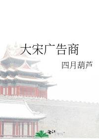 大宋广告商TXT百度