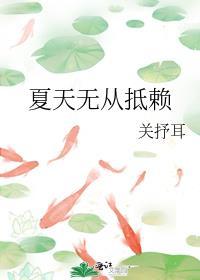夏天无从抵赖全文免费阅读