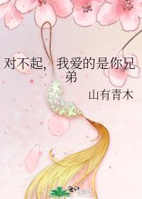 我爱的是你兄弟