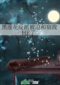 反派黑莲花攻略手册