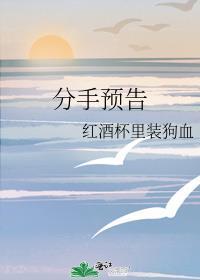 分手预告简介