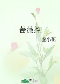 蔷薇控股段青山最新消息