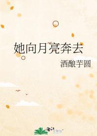 她向月亮奔去在线阅读番外免费