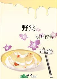 野棠如炽免费阅读