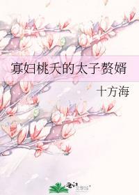 寡妇桃夭的太子赘婿免费