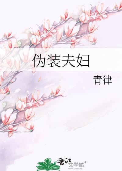 伪装夫妇日剧动漫全集