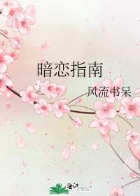 暗恋指南风流书呆免费阅读