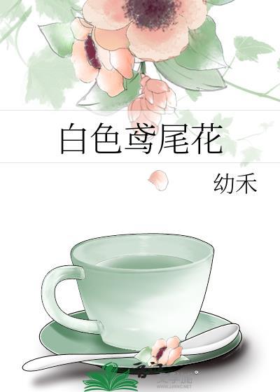 白色鸢尾花英文