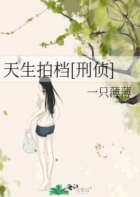 天生拍档刑侦TXT