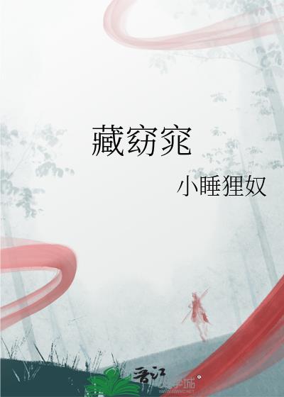 藏窈窕讲的什么