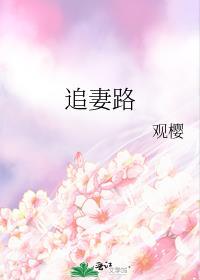 追妻路电视剧