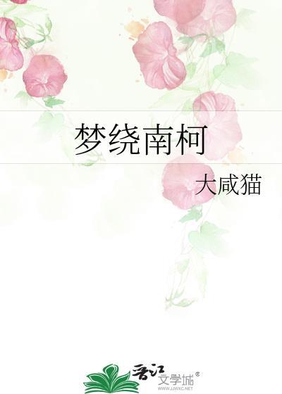 能用就行无防盗