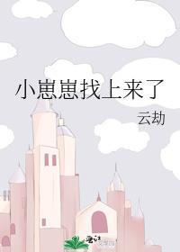 小崽崽找上来了TXT