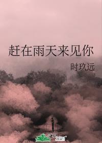 赶在雨天来见你英文