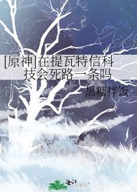 原神提瓦特生存指南