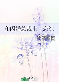和豪门总裁闪婚以后by