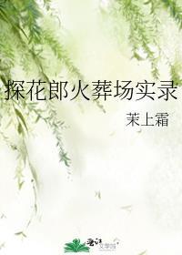 探花郎是什么官职
