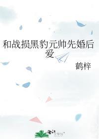 和战损黑豹元帅先婚后爱作者TXT