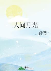人间月光免费阅读
