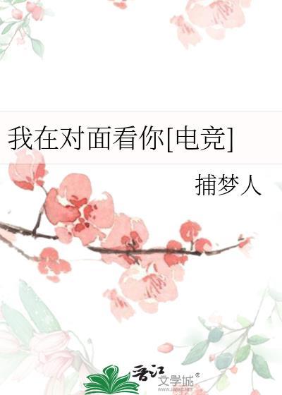 我在你对面 英语