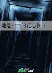 她是f4中的花心萝卜百度番外