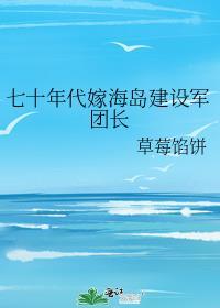 七十年代嫁海岛建设军团长格格党