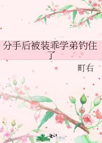 分手后被装乖学弟钓住了 番外
