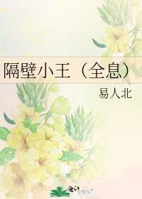 隔壁小王全息易人北