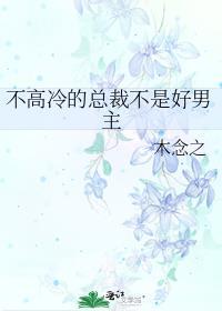 不高冷的总裁不是好男主 木念之