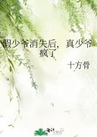 假少爷消失后真少爷疯了晋江