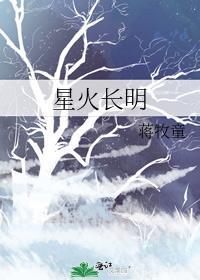 q飞星火长夜