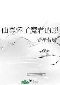 魔尊怀了仙尊的孩子一人一次