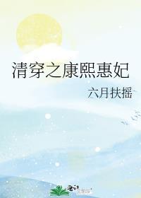 清穿之康熙惠妃免费阅读24章