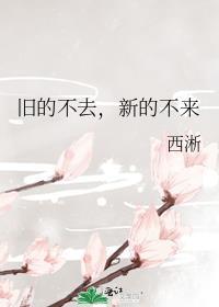旧的不去新的不来下句