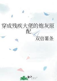 不怪他免费阅读全文无弹窗