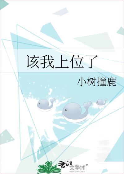 该我上位了TXT提取码