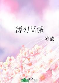 蔷薇之刃1-40集全免费