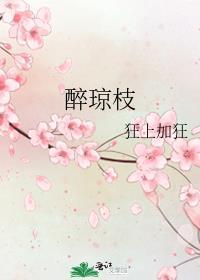 醉琼枝的txt
