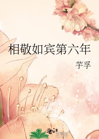 相敬如宾第六年番外