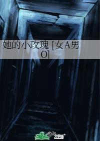 他的小玫瑰在线阅读