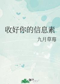 收好你的信息素讲的什么内容