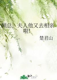 顾总夫人又闹离婚啦