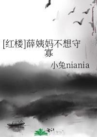 红楼梦薛姨妈是谁的老婆