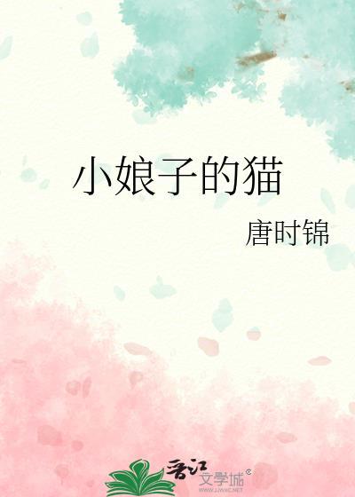 小娘子免费阅读