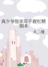 真少爷亲哥手握杠精剧本