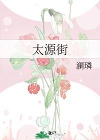 太源街澜璘免费阅读