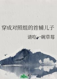 穿成对照组的首辅儿子百度